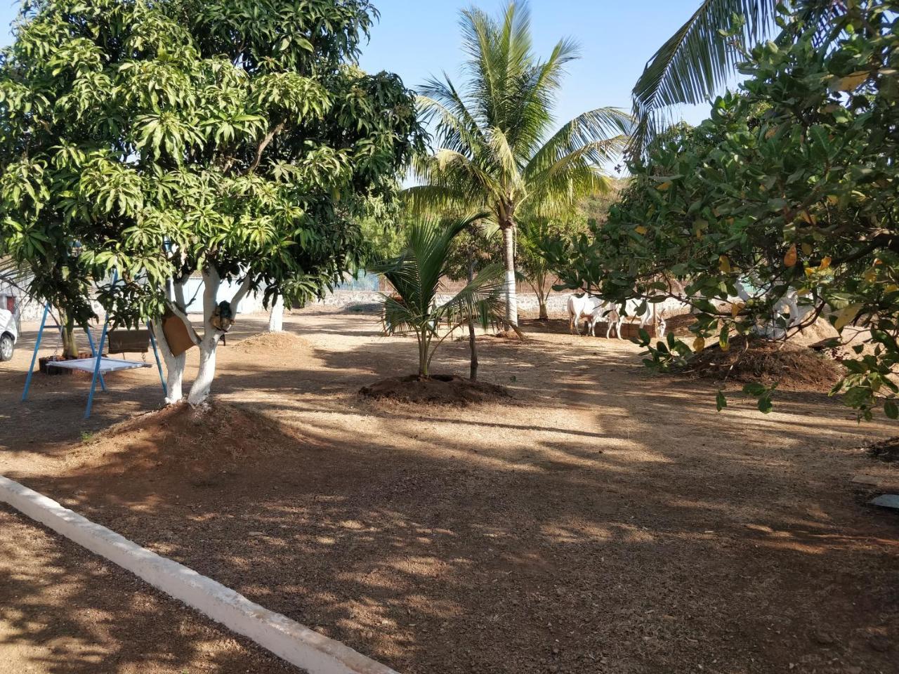 Shree Samarth Farmhouse Murūd Dış mekan fotoğraf